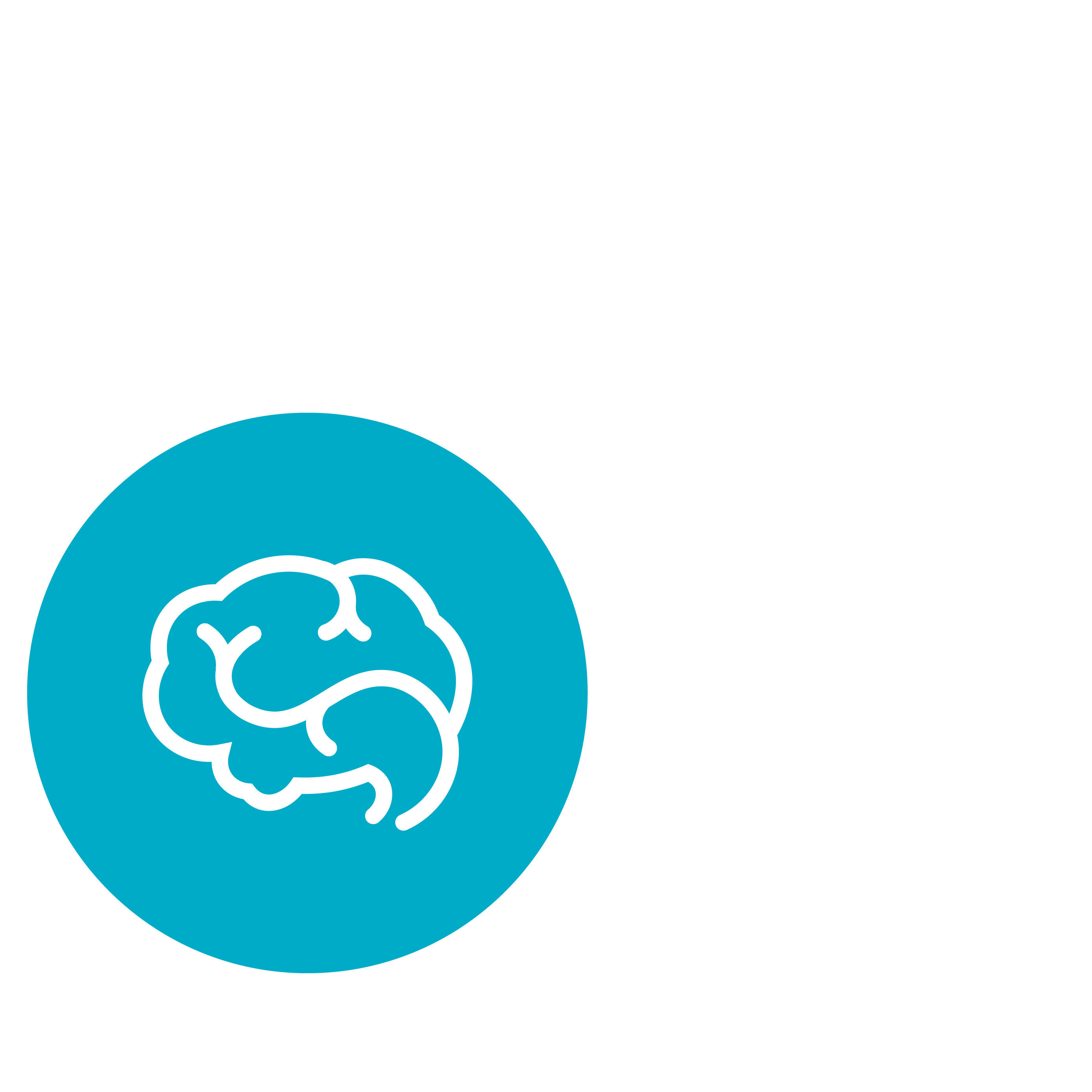 Outline of a Brain icon